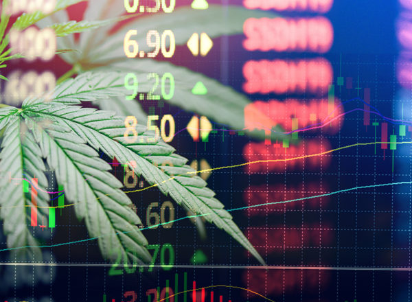 The Cannabis Market